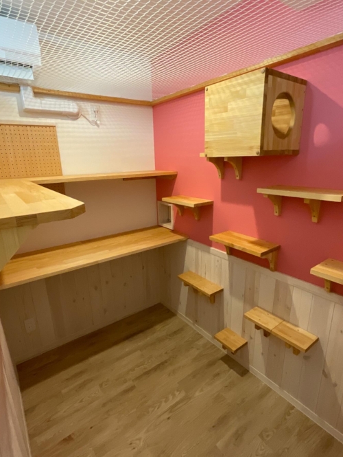 489332352_18498109741059249_8302783360093010585_n